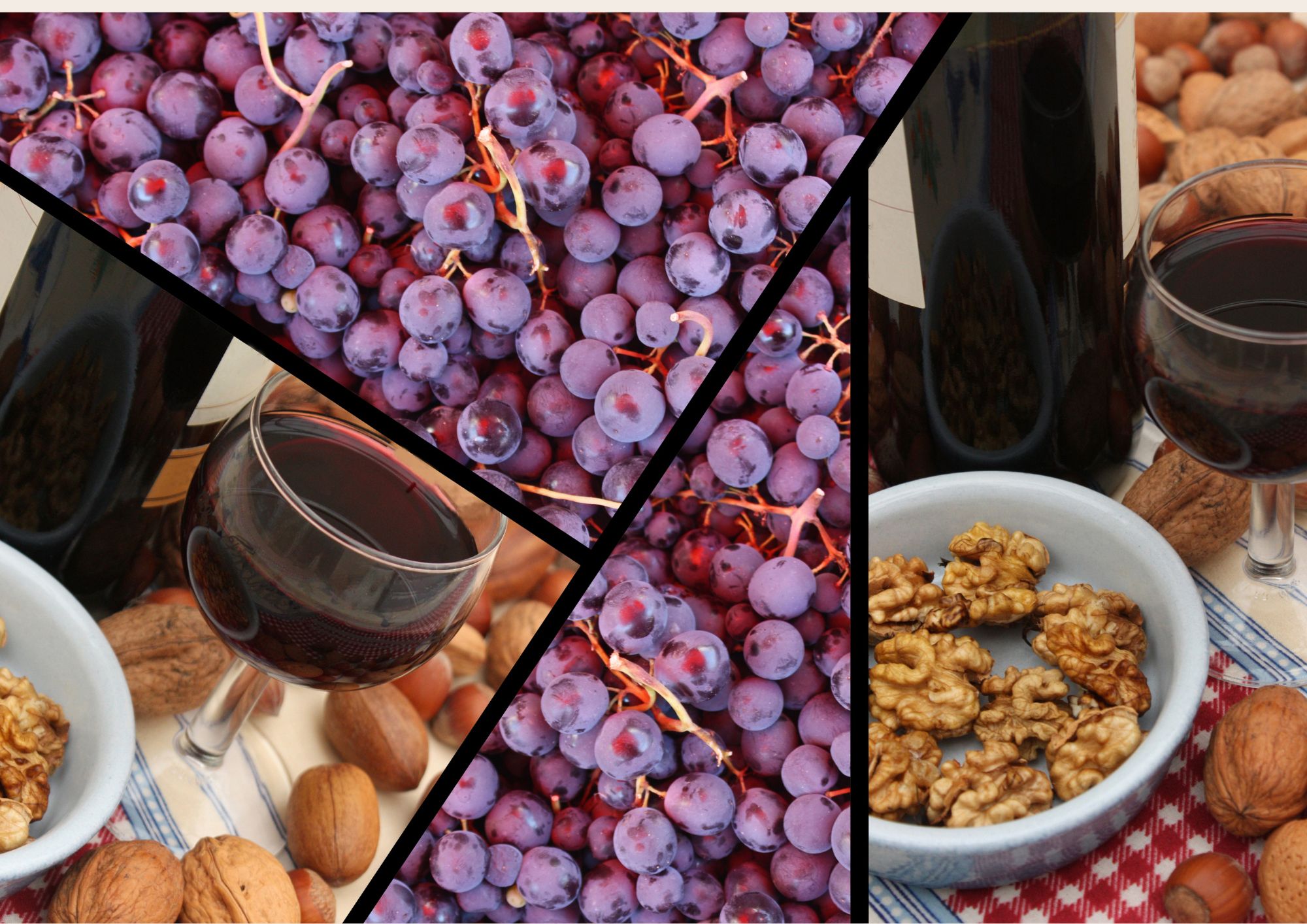 ateliers d'oenologie